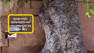 קורס צילום מעשי - הדגמת השפעת תאורה טבעית על אובייקט בשטח כחלק מלימודי צילום תדמית